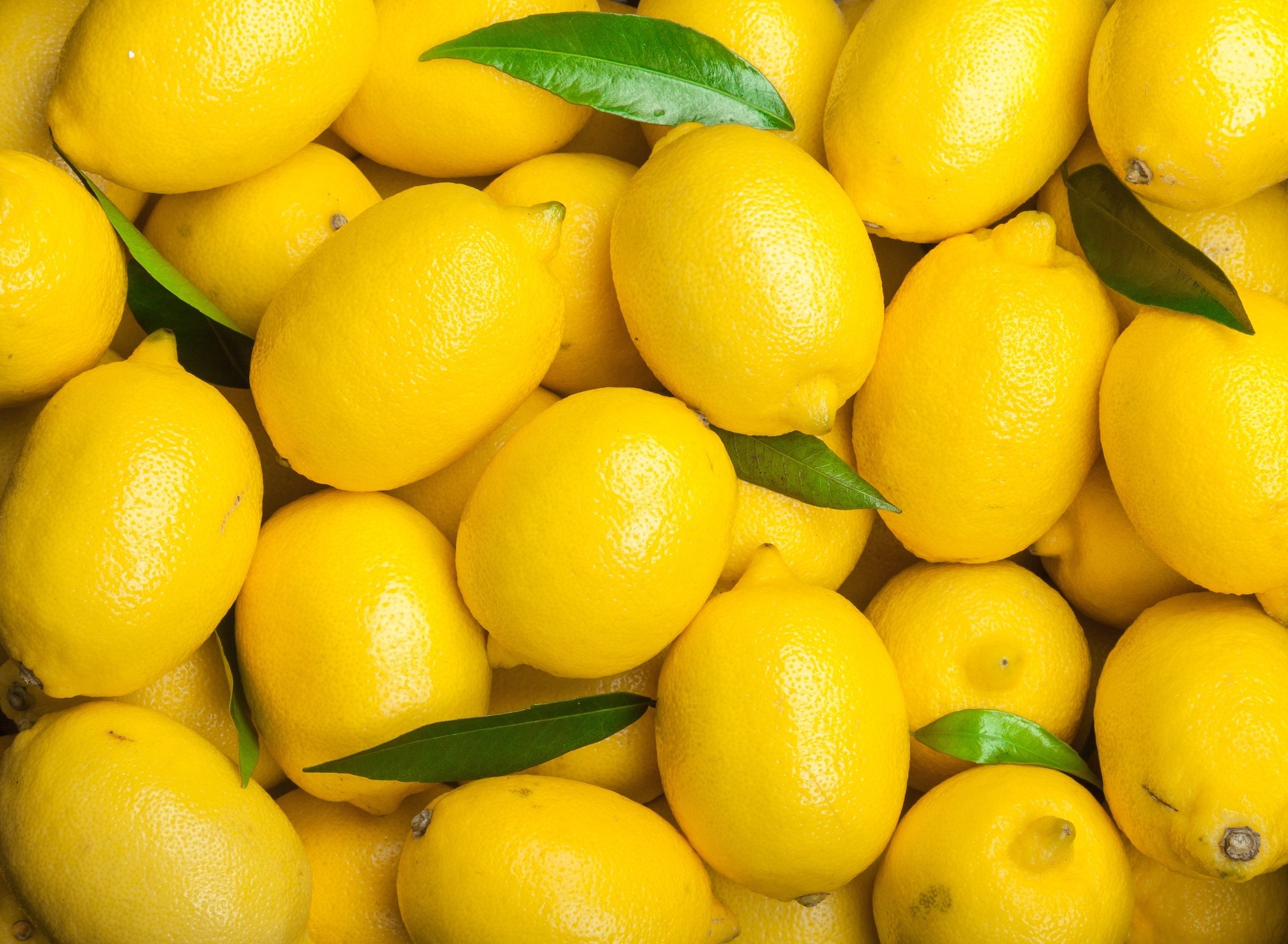Lemon Image 2