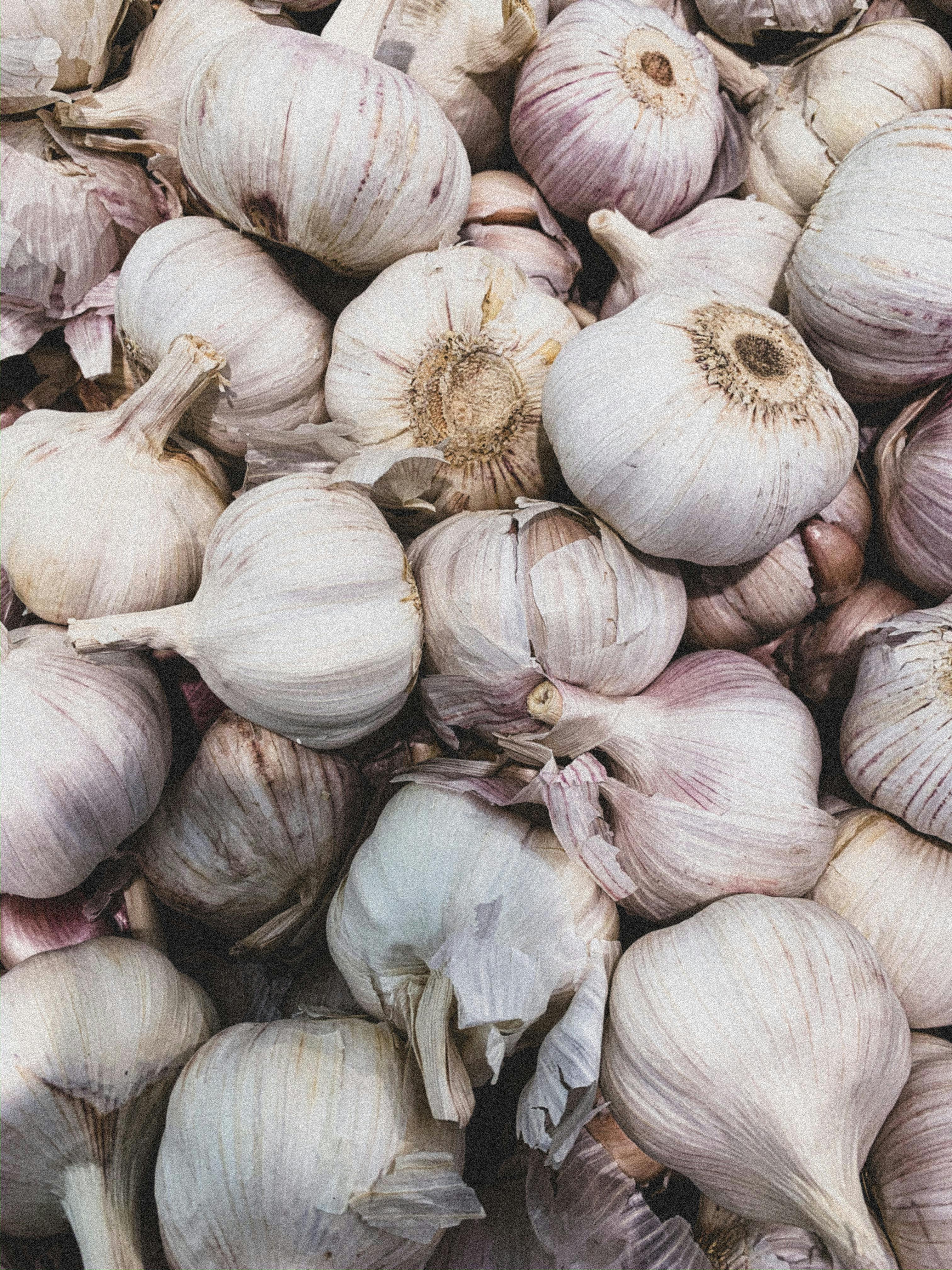 Garlic Image 1
