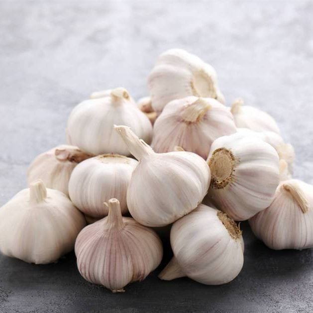 Garlic Image 2