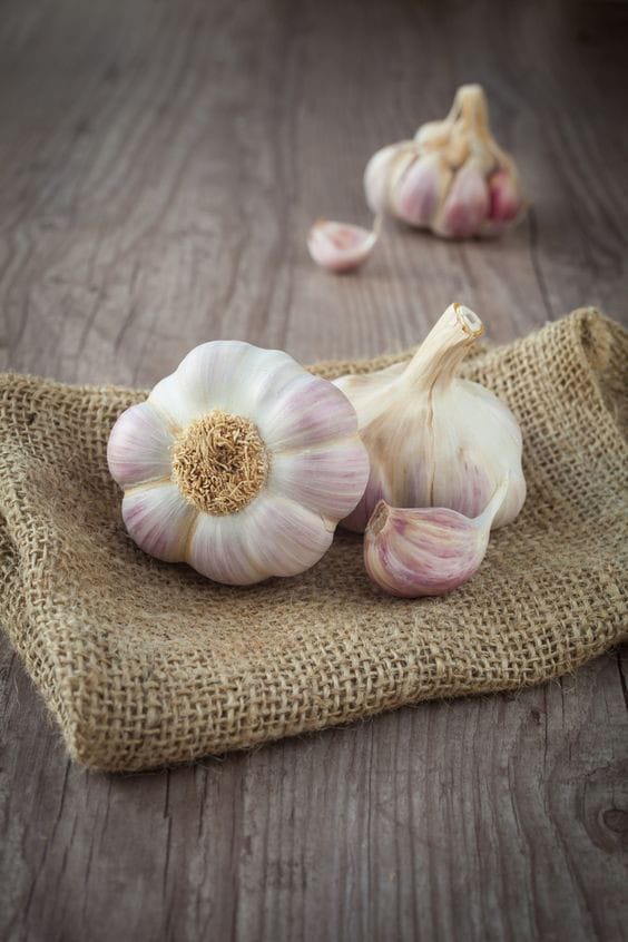 Garlic Image 3