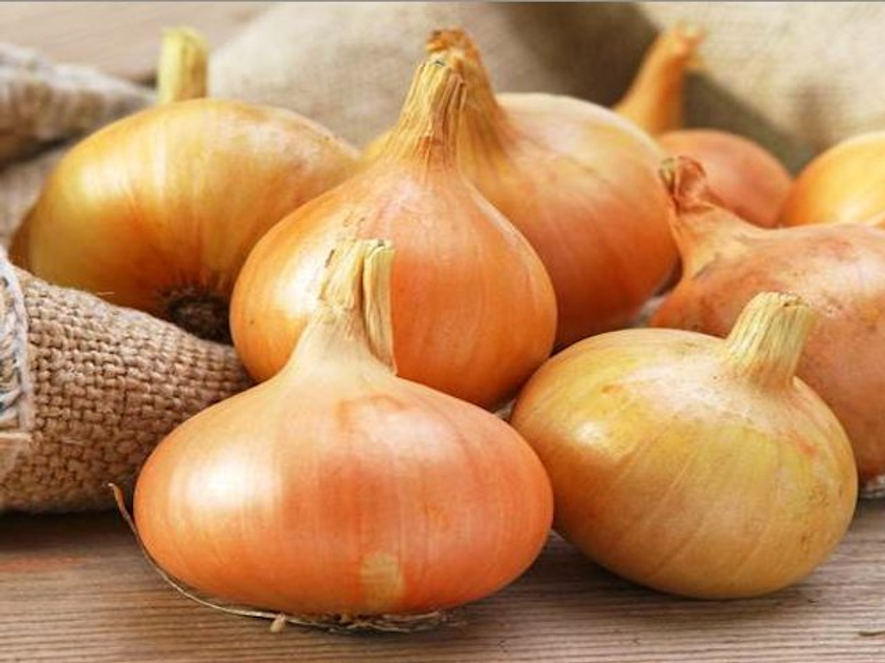 Yellow Onion Image 3