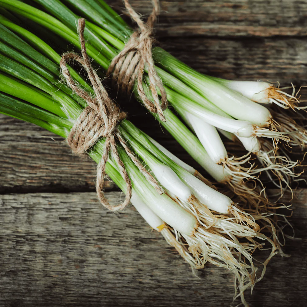 Spring Onion Image 2