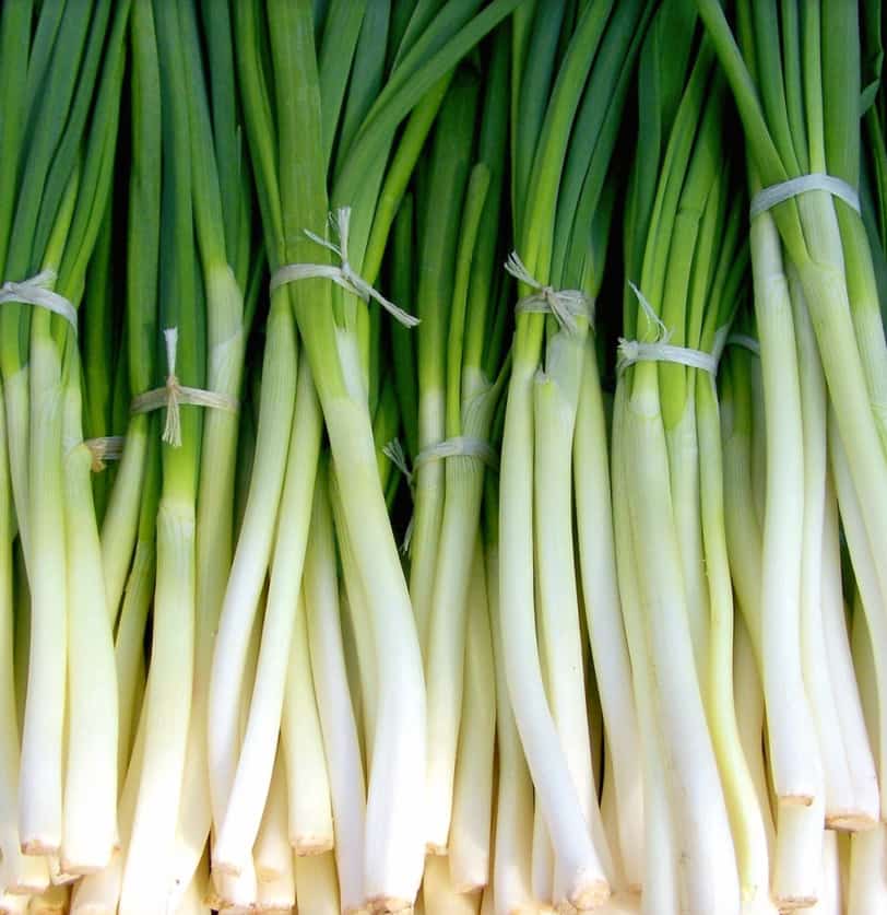 Spring Onion Image 3