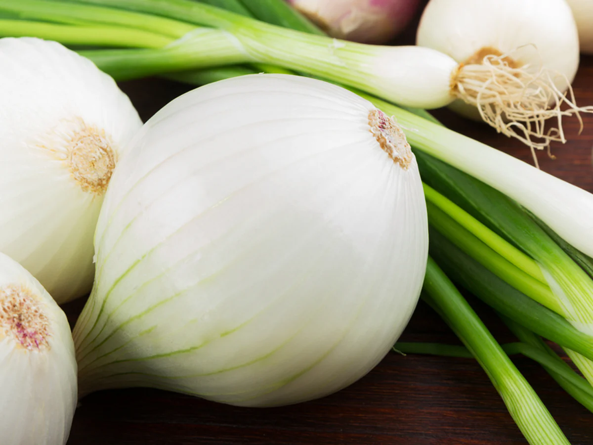 White Onion Image 1