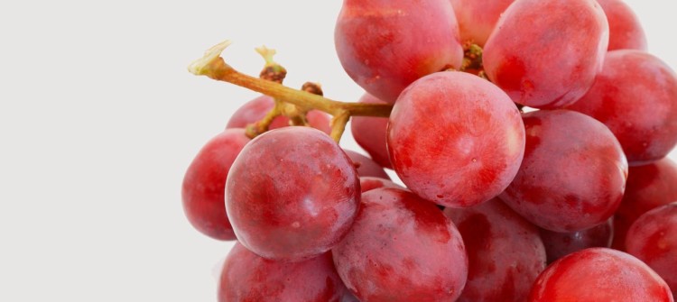 Crimson Grapes Image 2