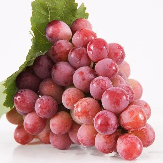 Red Globe Grapes Image 2