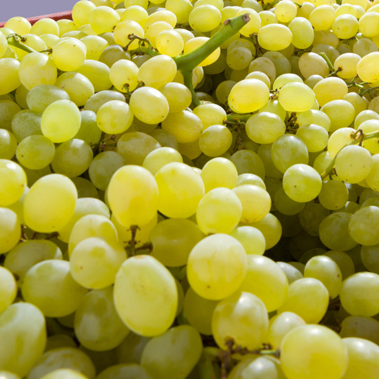 Superior Grapes Image 3