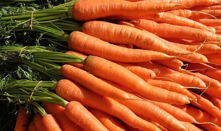 Carrots Image 1