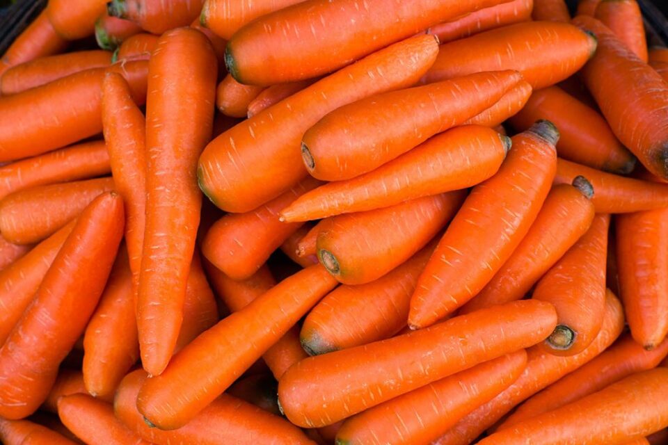 Carrots Image 2