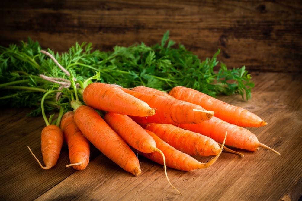 Carrots Image 3