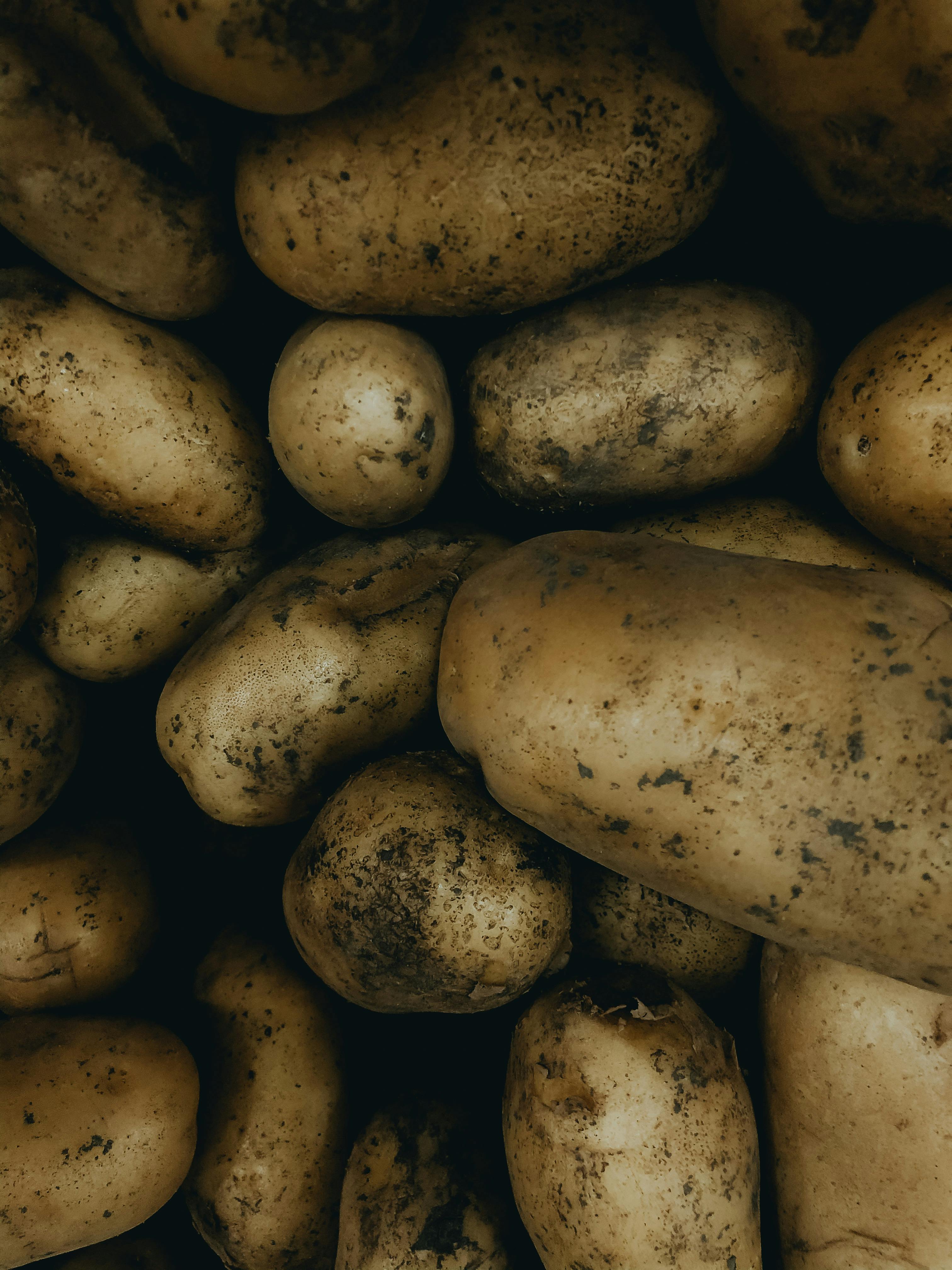 Potatoes Image 1
