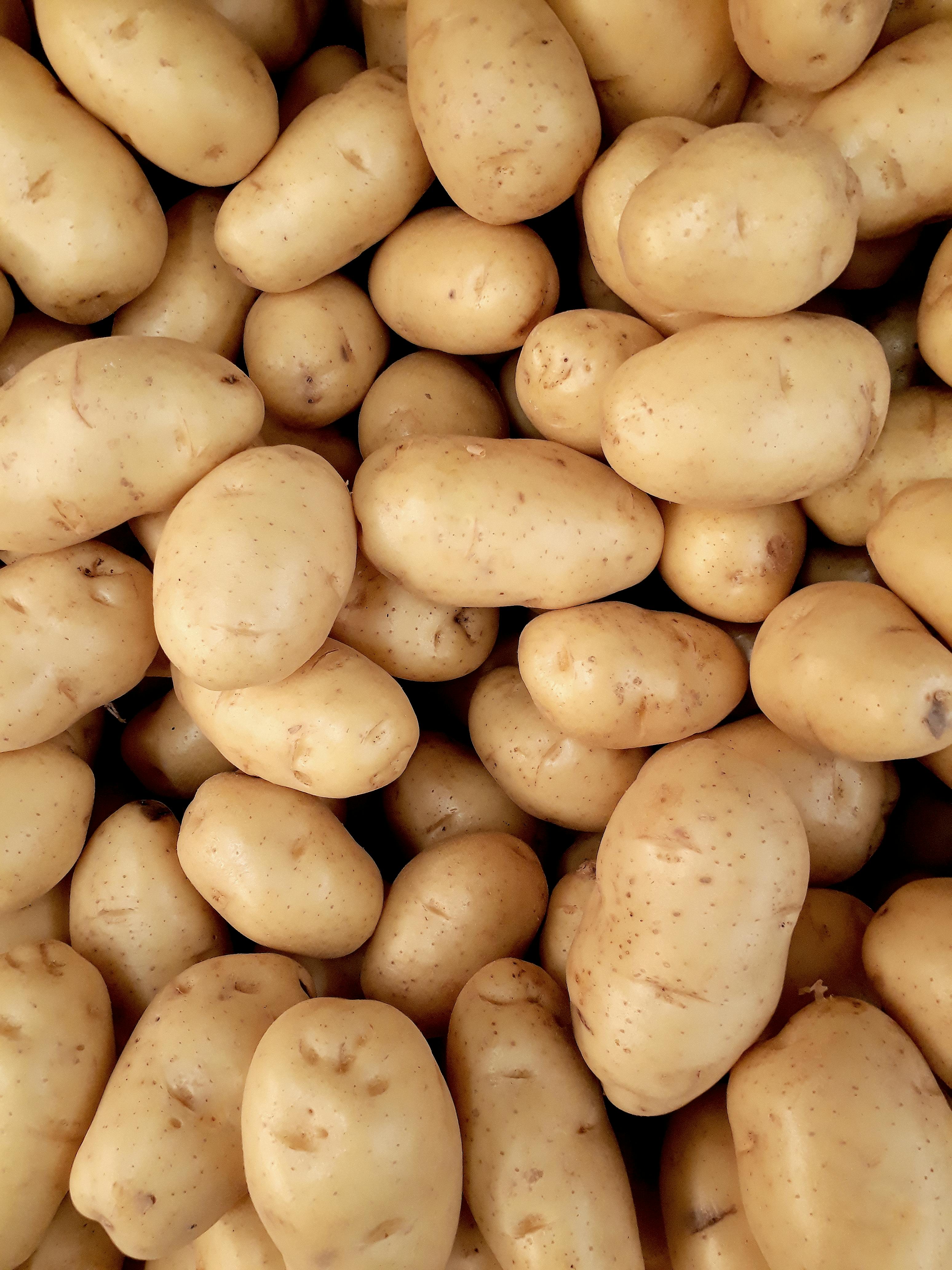 Potatoes Image 2