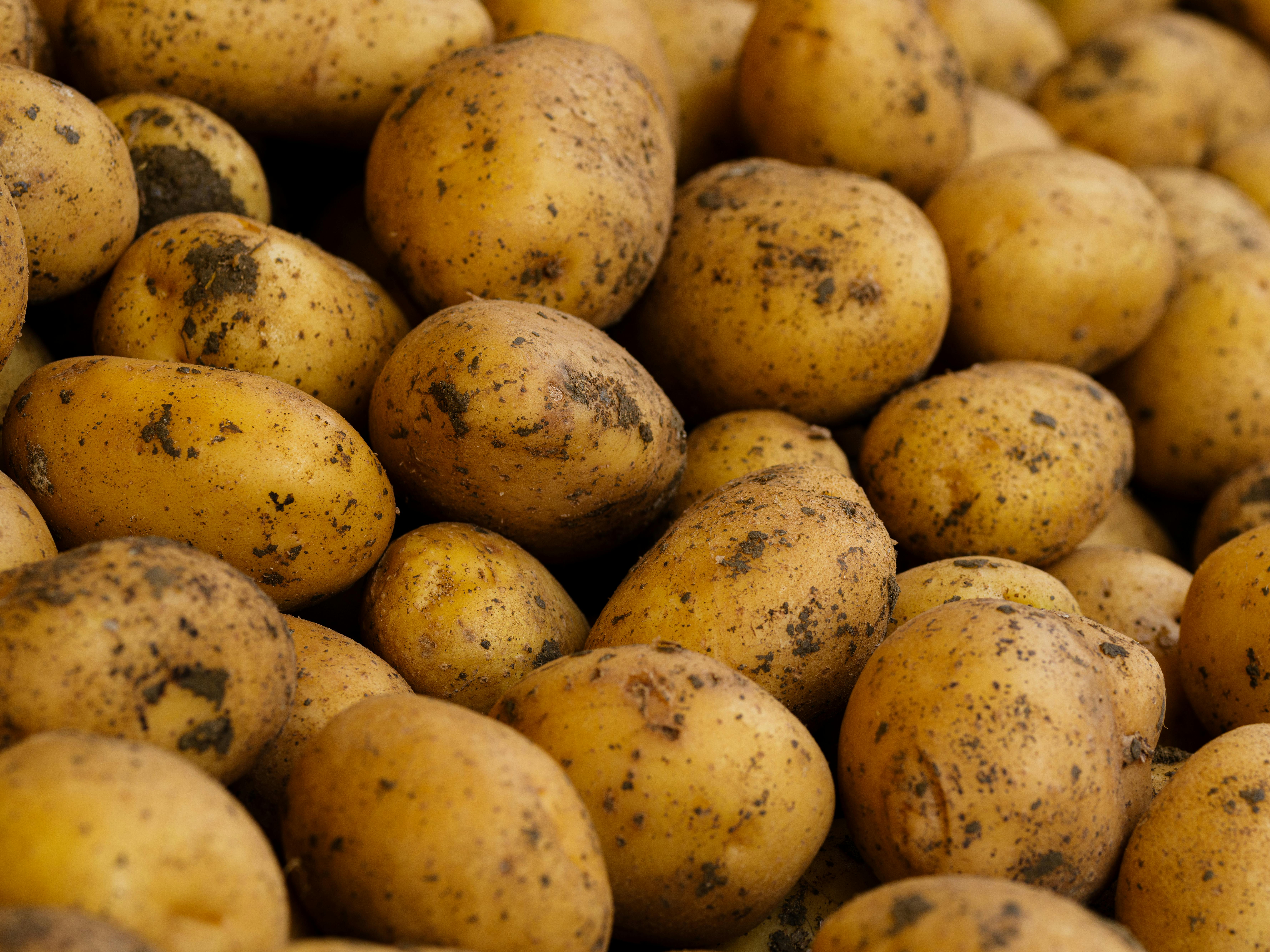 Potatoes Image 3